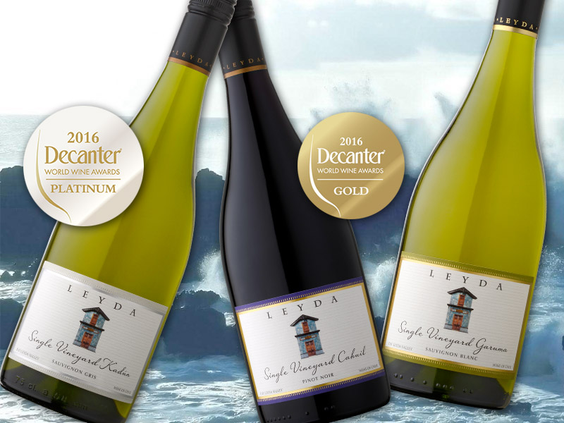 Leyda Single Vineyard Kadún Sauvignon Gris 2014 is recognized as the “Best Chilean White” in the DWWA 2016