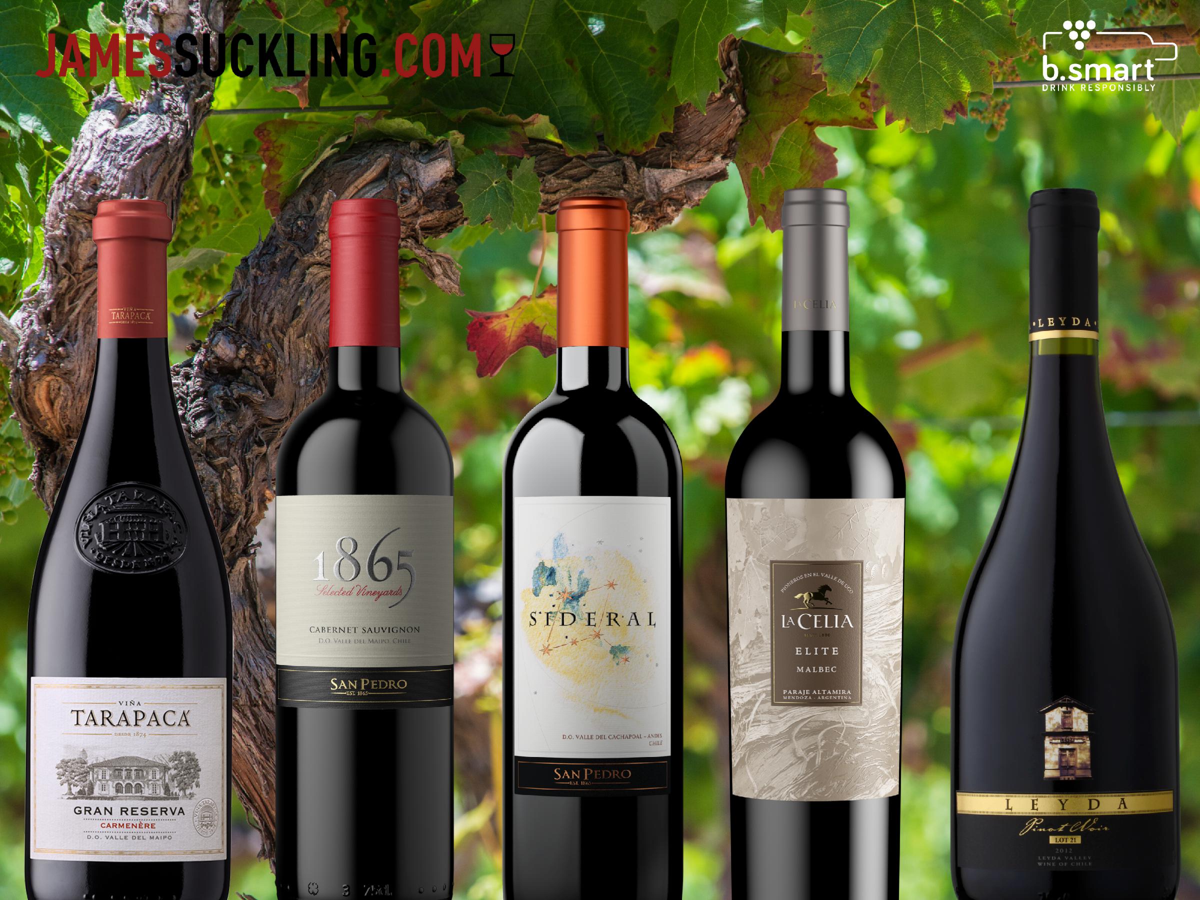 VSPT Wine Group takes part in the latest version of “Great Wines of the Andes” USA