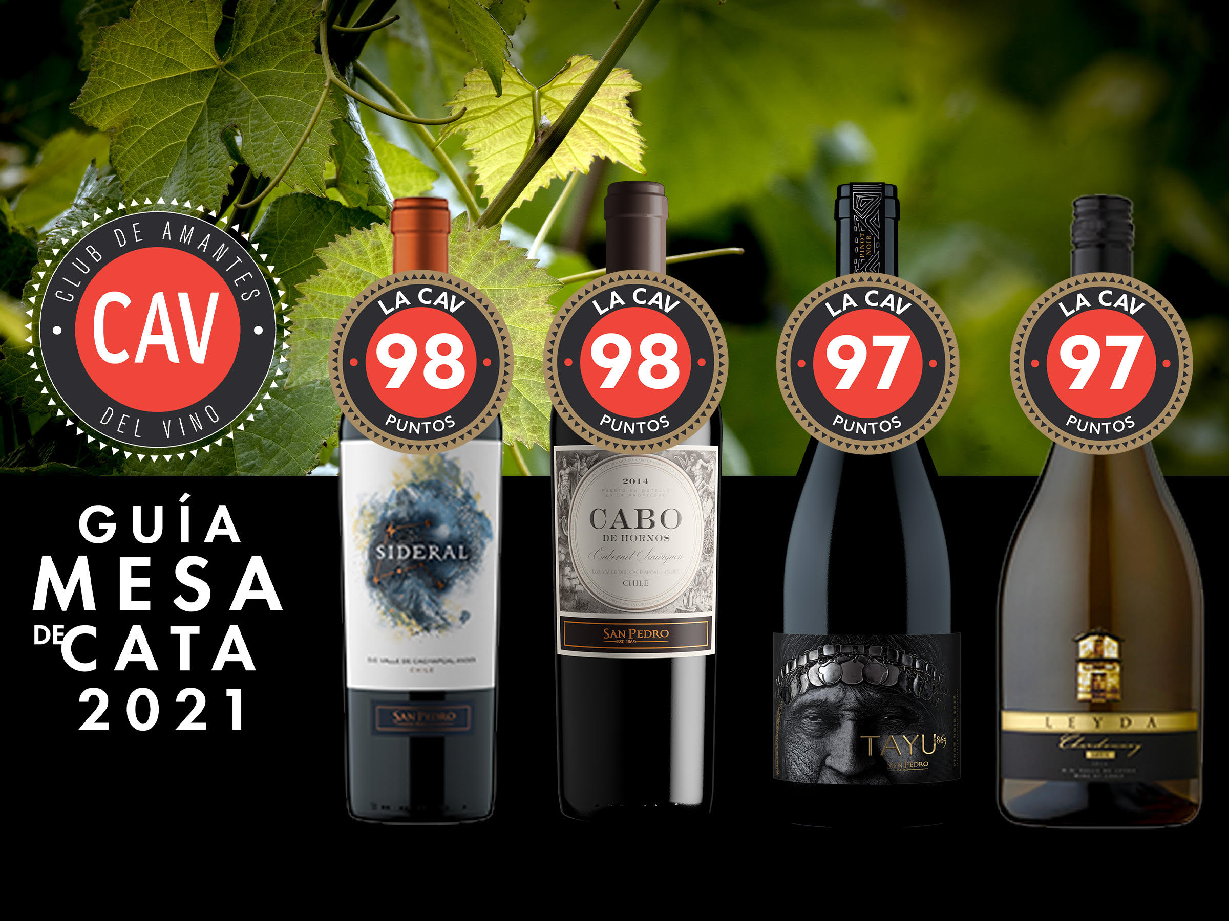 Excelente puntajes para nuestros vinos en Guía Mesa de Cata de La Cav 2021
