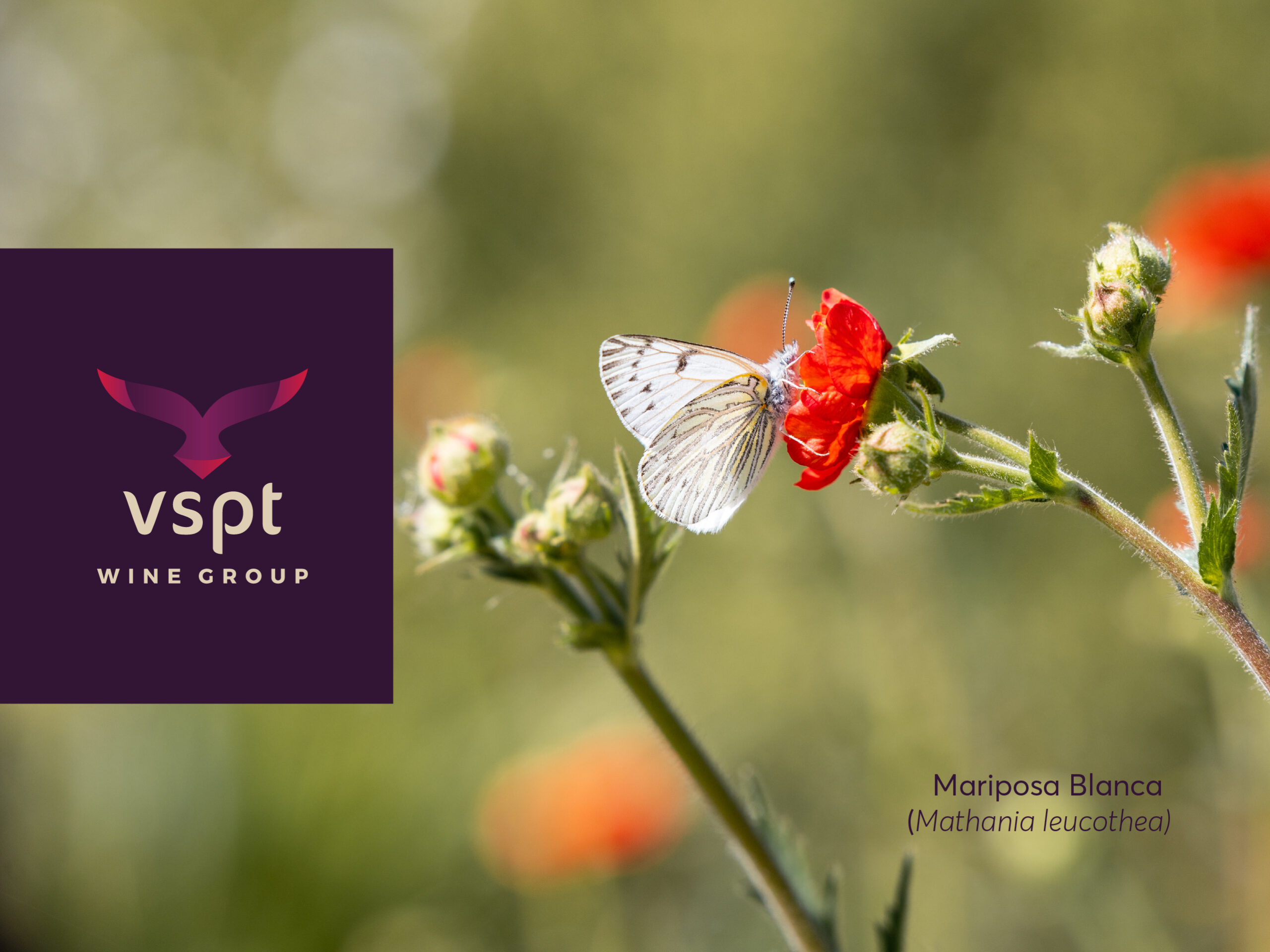VSPT firma declaración de Business for Nature