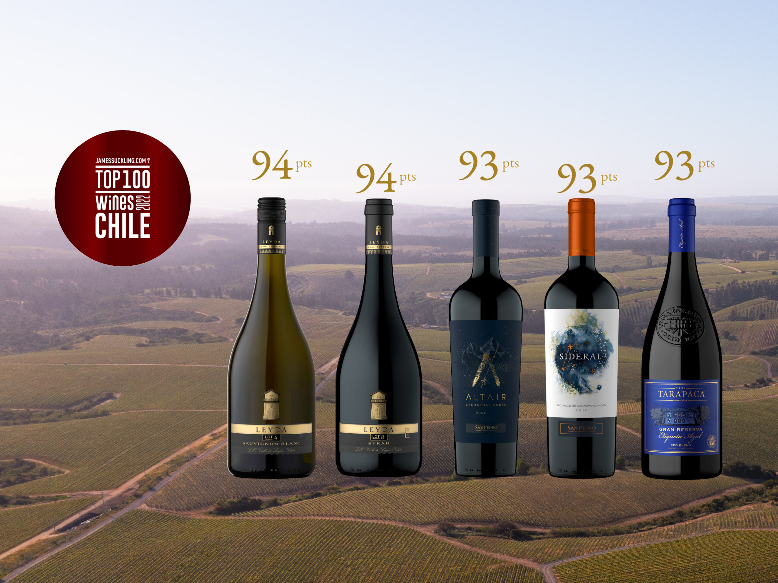 Cinco vinos de VSPT se posicionan entre los 100 mejores de Chile según James Suckling