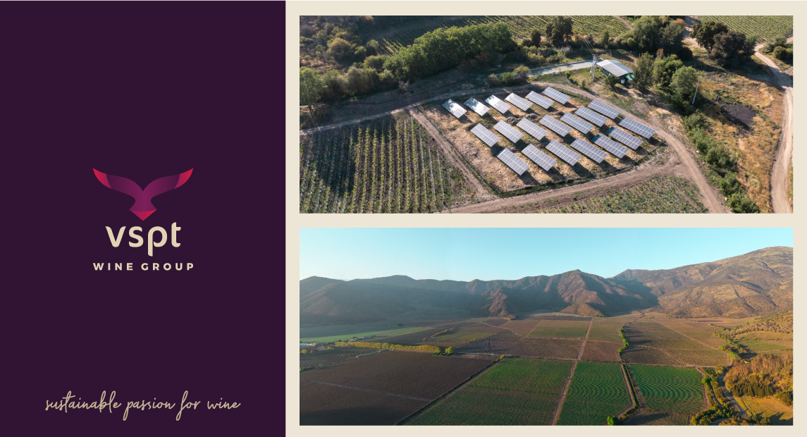 VSPT Wine Group avanza en agenda Net Zero y reporta reducción de emisiones GEI en un 13% en 2022