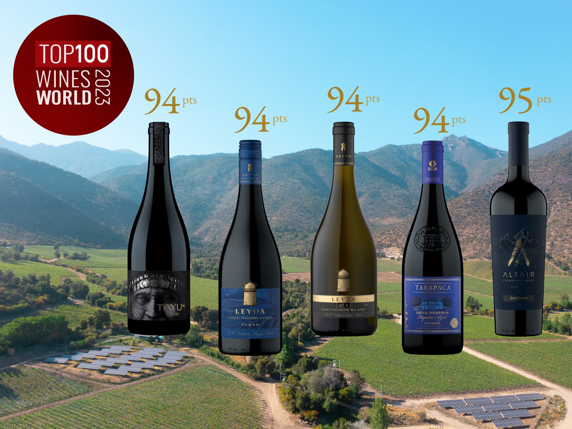 Cinco vinos de VSPT entre los 100 mejores de Chile según James Suckling