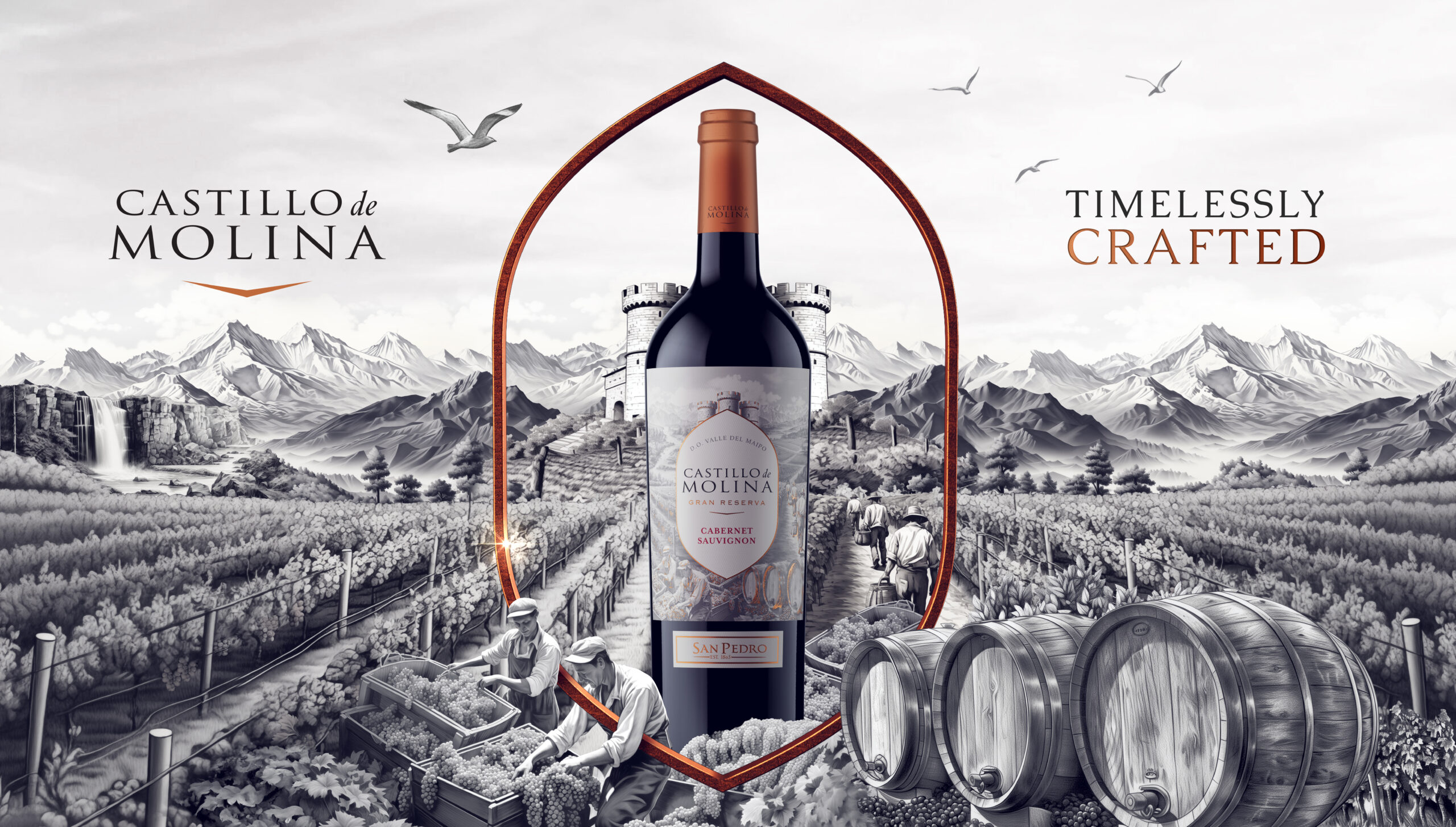 Castillo de Molina evoluciona: Una nueva propuesta para el mercado global