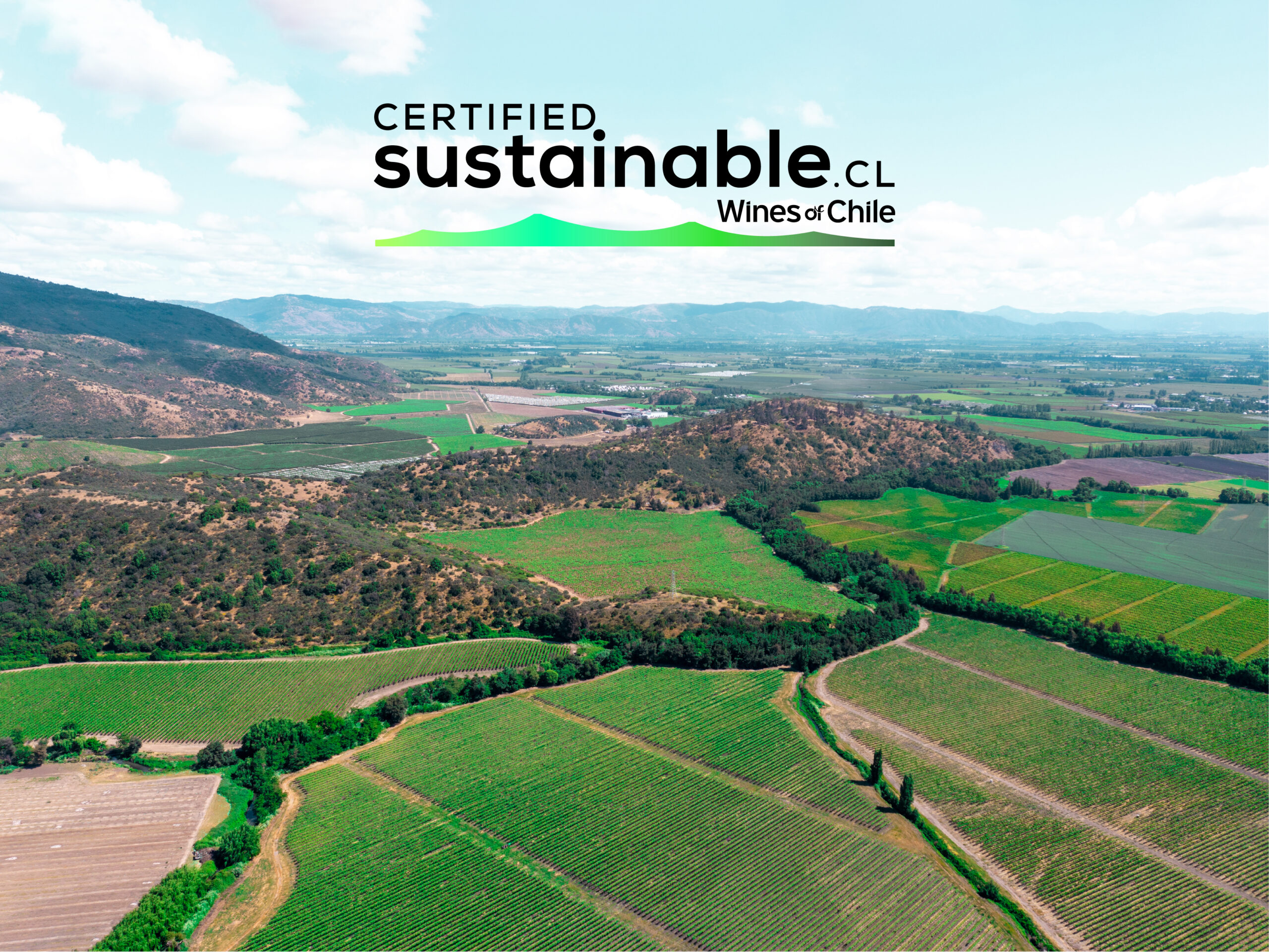 VSPT Wine Group es recertificado bajo el Código Nacional de Sustentabilidad de Wines of Chile