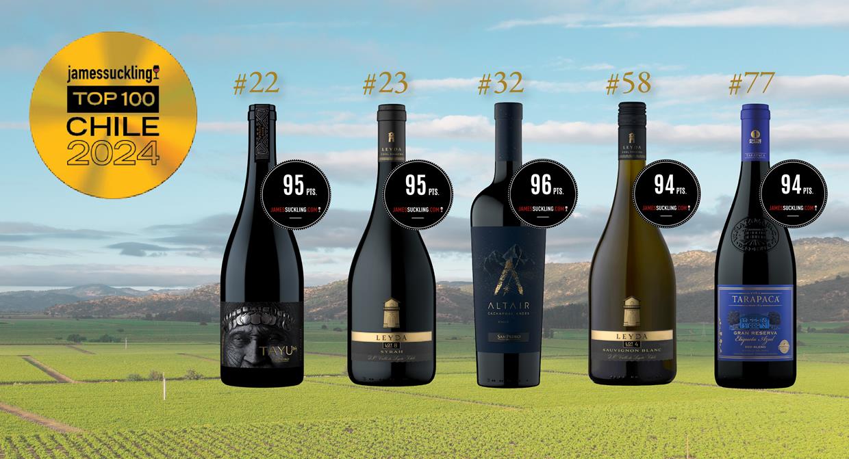 Cinco vinos de VSPT son elegidos dentro de los Mejores 100 de Chile según James Suckling