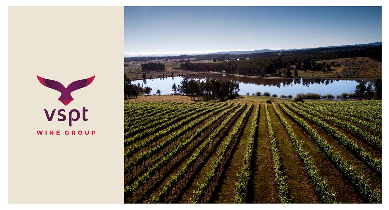 VSPT Wine Group receives grant from “Corfo” to support Mapuche communities in wine production
