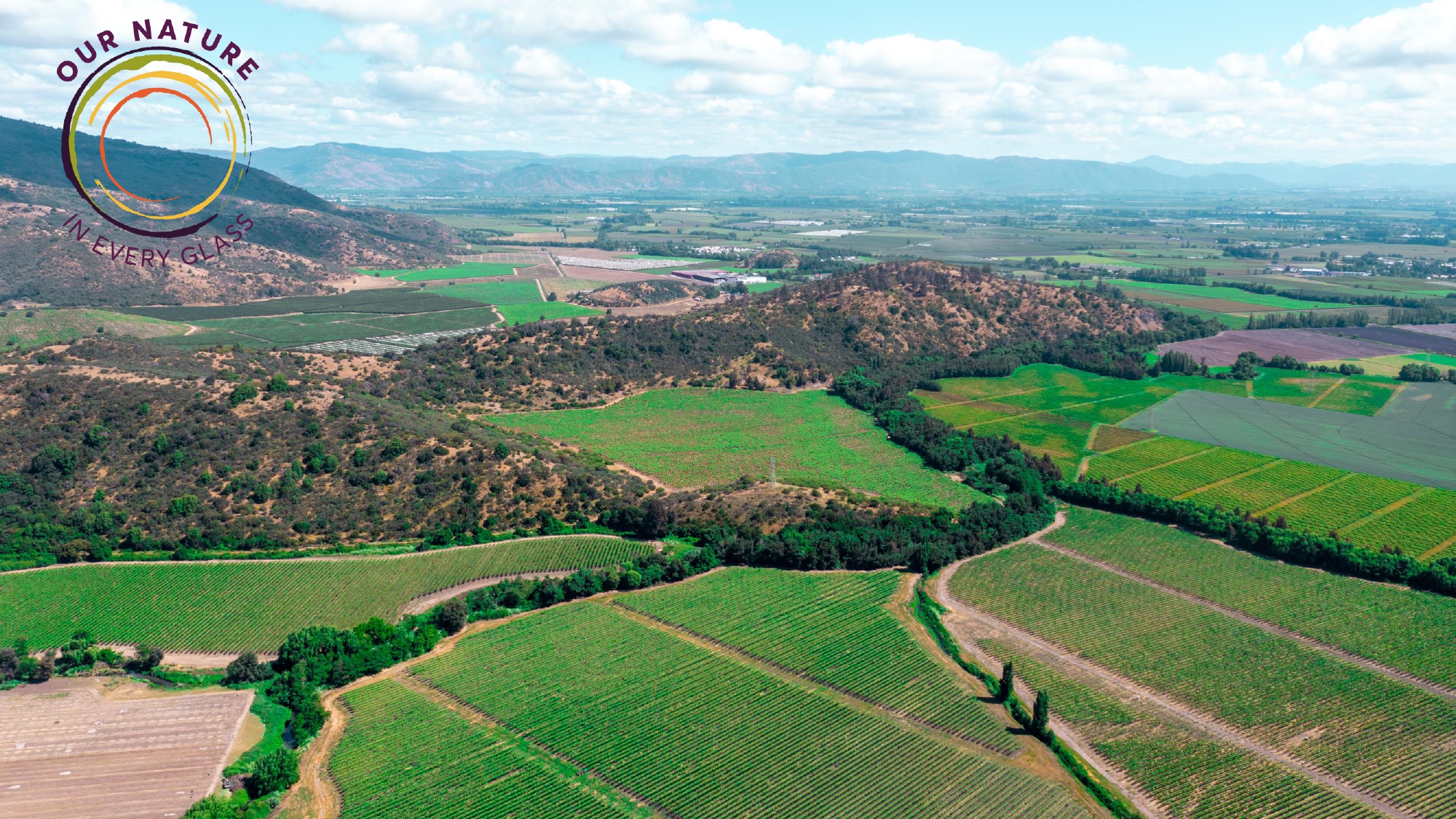VSPT Wine Group reduce su huella de carbono en un 47% respecto a su año base