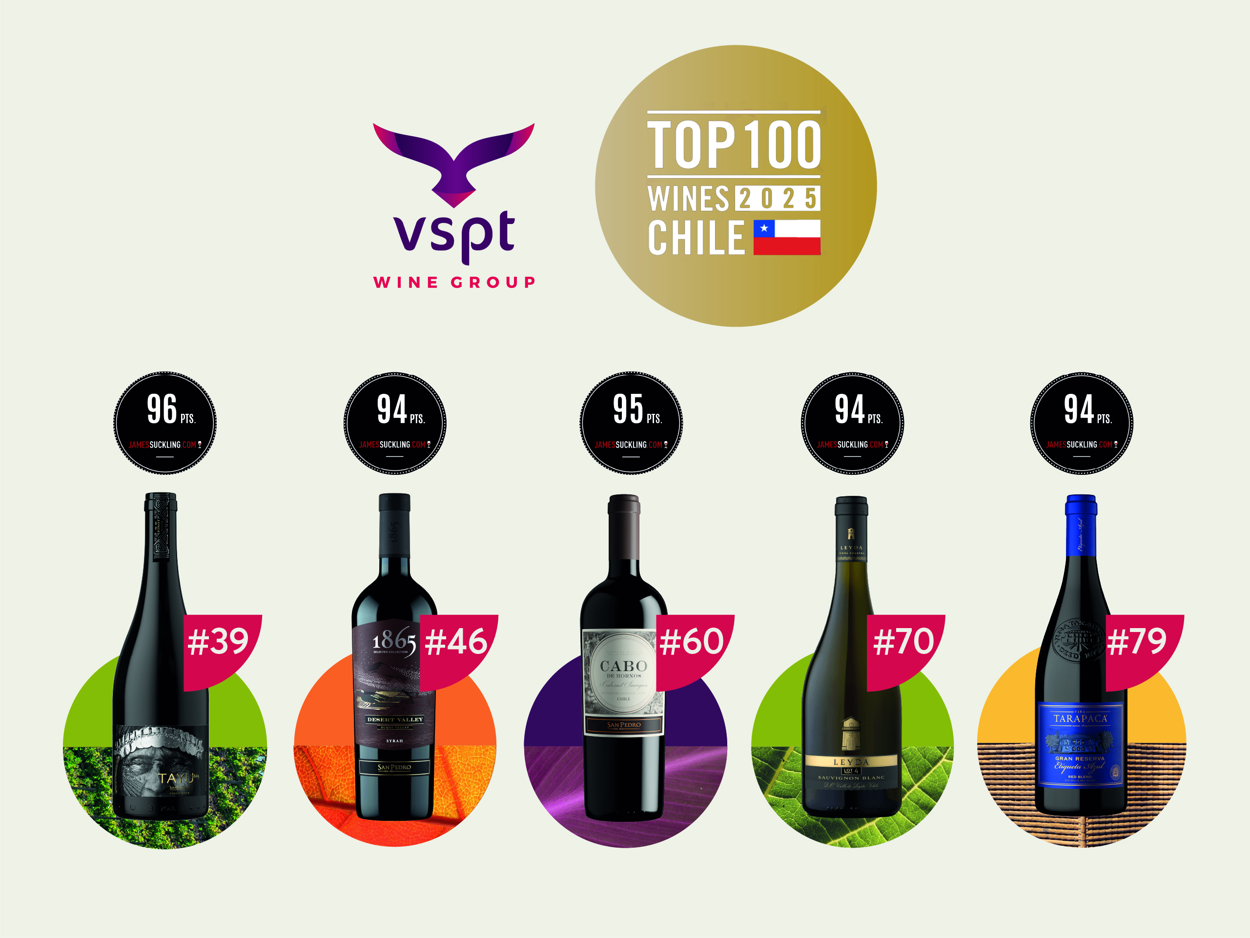 Cinco vinos de VSPT son elegidos dentro de los Mejores 100 de Chile según James Suckling