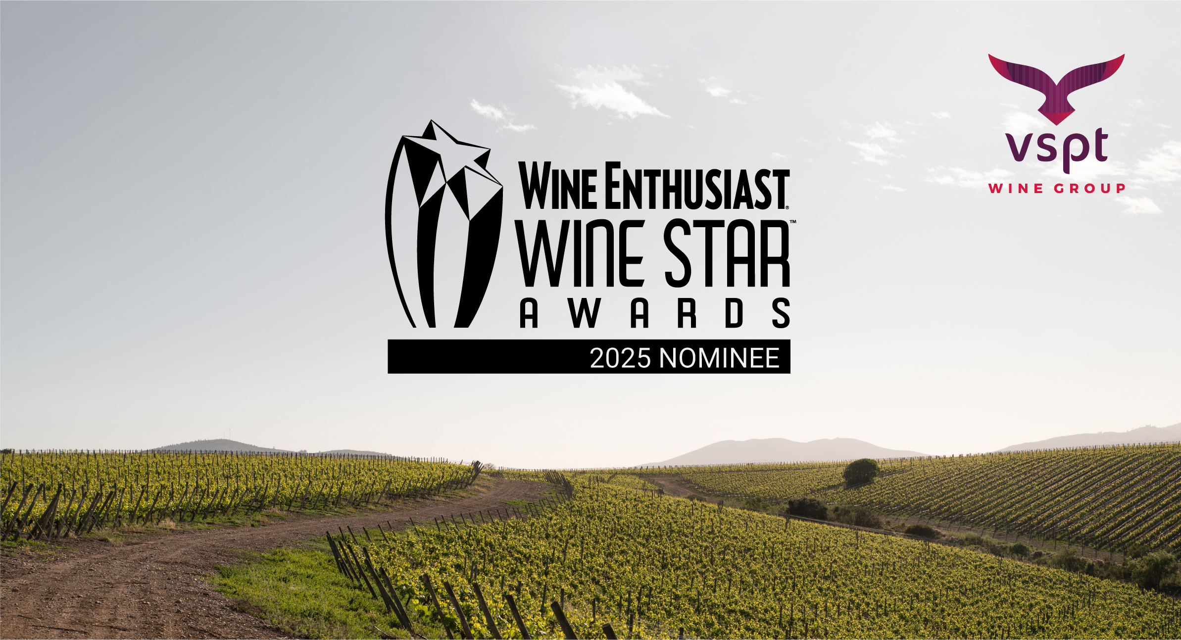VSPT Wine Group nominated for the Wine Star Awards 2025